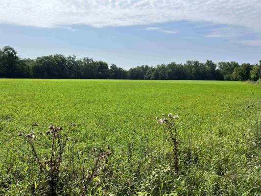 00000 COUNTY ROAD 2, BRISTOL, IN 46507, photo 2 of 5