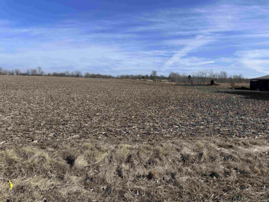 TRACT 4 13644 N GORE ROAD, LYNNVILLE, IN 47619, photo 4 of 7